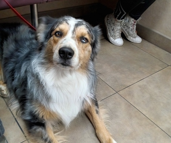 Medium Photo #2  Breeder Profile in WADDELL, AZ, USA