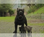 Small #2 Breeder Profile image