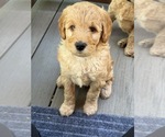 Small #3 Breeder Profile image