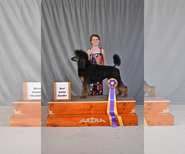 Medium Photo #7  Breeder Profile in BARBERTON, OH, USA