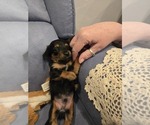 Small #9 Breeder Profile image