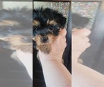 Small #169 Breeder Profile image
