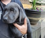 Small #2 Breeder Profile image