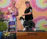 Small #2 Breeder Profile image