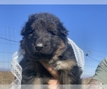 Small #65 Breeder Profile image