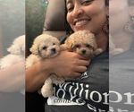 Small #11 Breeder Profile image