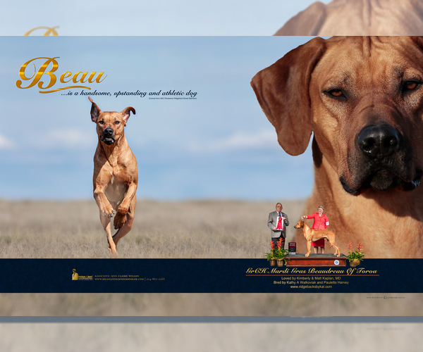 Medium Photo #6  Breeder Profile in CALDWELL, TX, USA