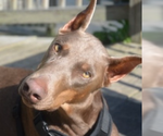 Small #3 Breeder Profile image
