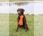 Small #2 Breeder Profile image