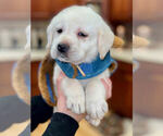 Small #3 Breeder Profile image