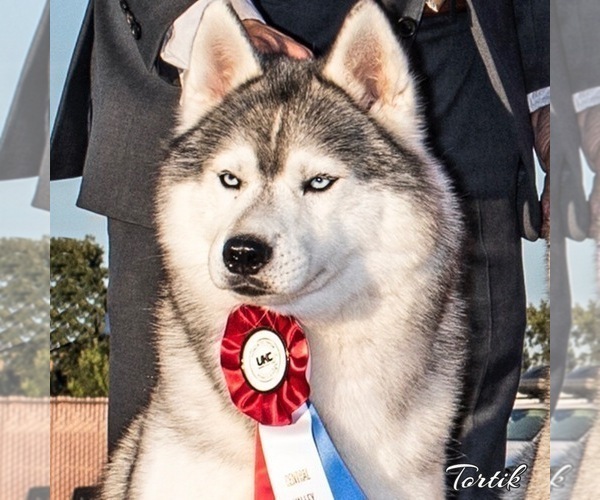 Medium Photo #1  Breeder Profile in MOORCROFT, WY, USA