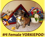 Small #1 Breeder Profile image