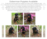 Small #20 Breeder Profile image