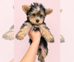 Small #10 Breeder Profile image