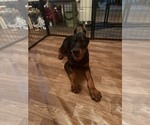 Small #11 Breeder Profile image