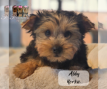 Small #13 Breeder Profile image