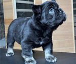 Small #2 Breeder Profile image