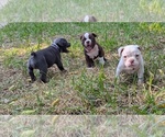Small #4 Breeder Profile image