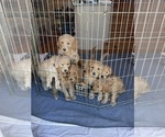 Small #7 Breeder Profile image