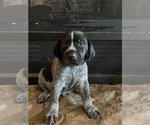 Small #9 Breeder Profile image