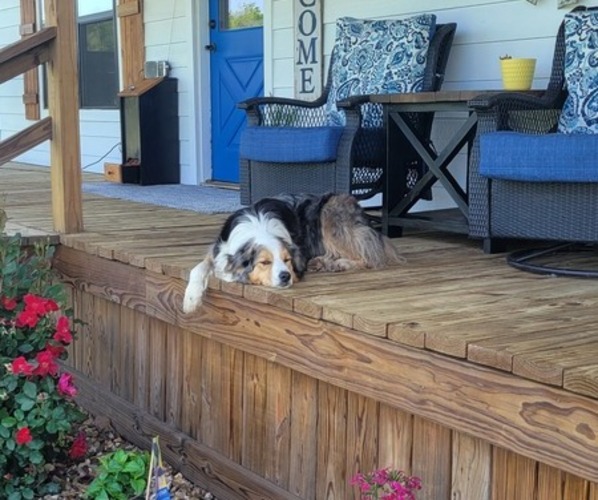 Medium Photo #11  Breeder Profile in AMERICUS, KS, USA