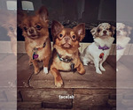 Small #50 Breeder Profile image