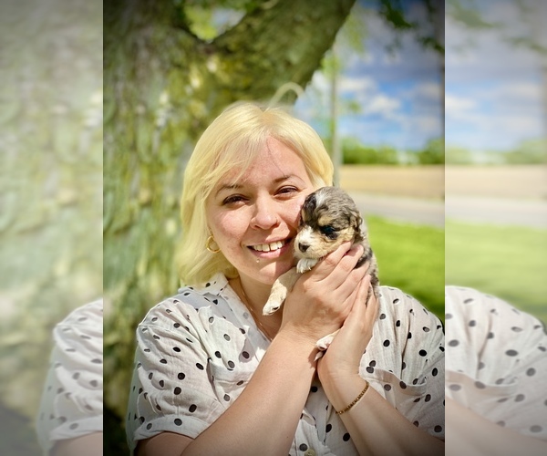 Medium Photo #6  Breeder Profile in FORTVILLE, IN, USA