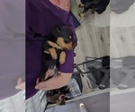 Small #19 Breeder Profile image
