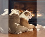 Small #5 Breeder Profile image