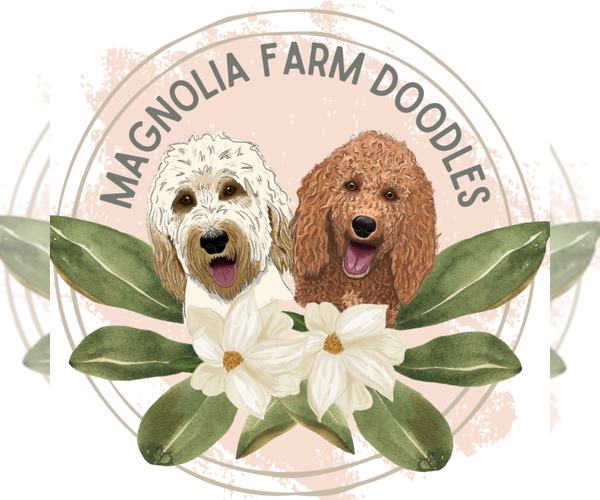 Medium Photo #1  Breeder Profile in ASHEBORO, NC, USA