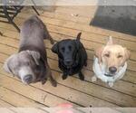 Small #2 Breeder Profile image