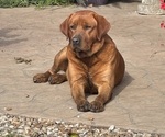 Small #6 Breeder Profile image