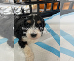 Small #15 Breeder Profile image