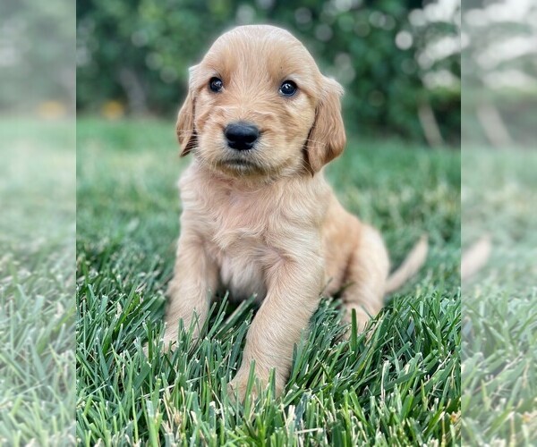 Medium Photo #1  Breeder Profile in RIVERTON, WY, USA