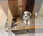 Small #5 Breeder Profile image