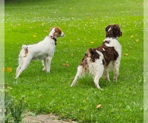 Medium Photo #3  Breeder Profile in MOHAWK, NY, USA