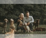 Small #1 Breeder Profile image