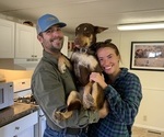 Small breeder photo