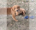 Small #15 Breeder Profile image