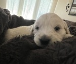 Small #6 Breeder Profile image