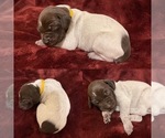 Small #5 Breeder Profile image