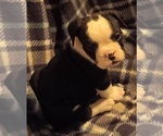 Small #9 Breeder Profile image