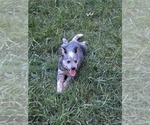Small #6 Breeder Profile image
