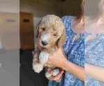 Small #5 Breeder Profile image