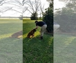 Small #6 Breeder Profile image