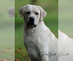 Small #11 Breeder Profile image