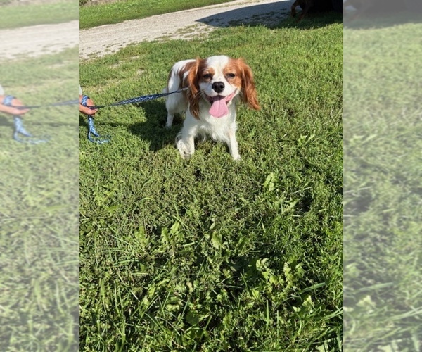 Medium Photo #1  Breeder Profile in WATERTOWN, WI, USA