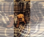 Small #15 Breeder Profile image