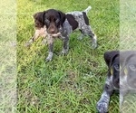 Small #23 Breeder Profile image