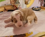 Small #14 Breeder Profile image